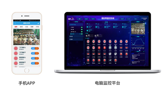 菌菇智能養殖監控系統遠程監測 菌菇智能養殖監控系統遠程監測