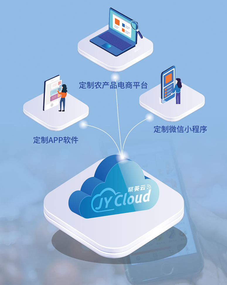 支持聚英云平臺二次開發