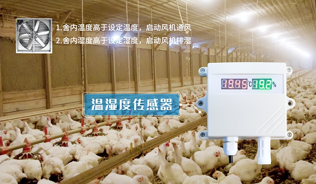 聚英電子溫濕度采集器 聚英電子溫濕度采集器