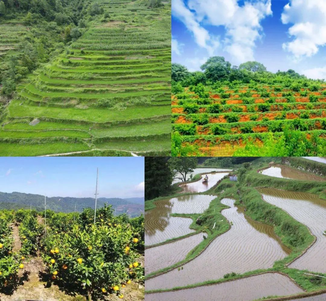 應(yīng)用場(chǎng)景 應(yīng)用場(chǎng)景