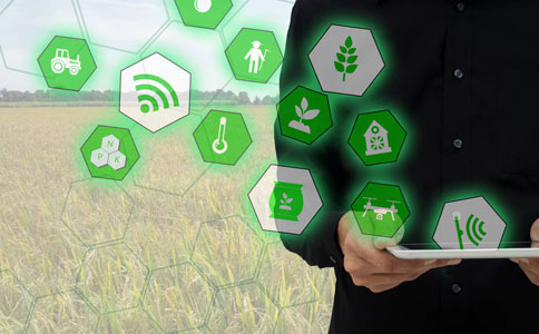 智慧農業是什么，以及它如何改變農業