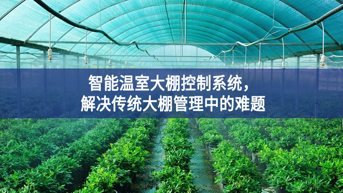 智能溫室大棚控制系統，解決傳統大棚管理中的難題