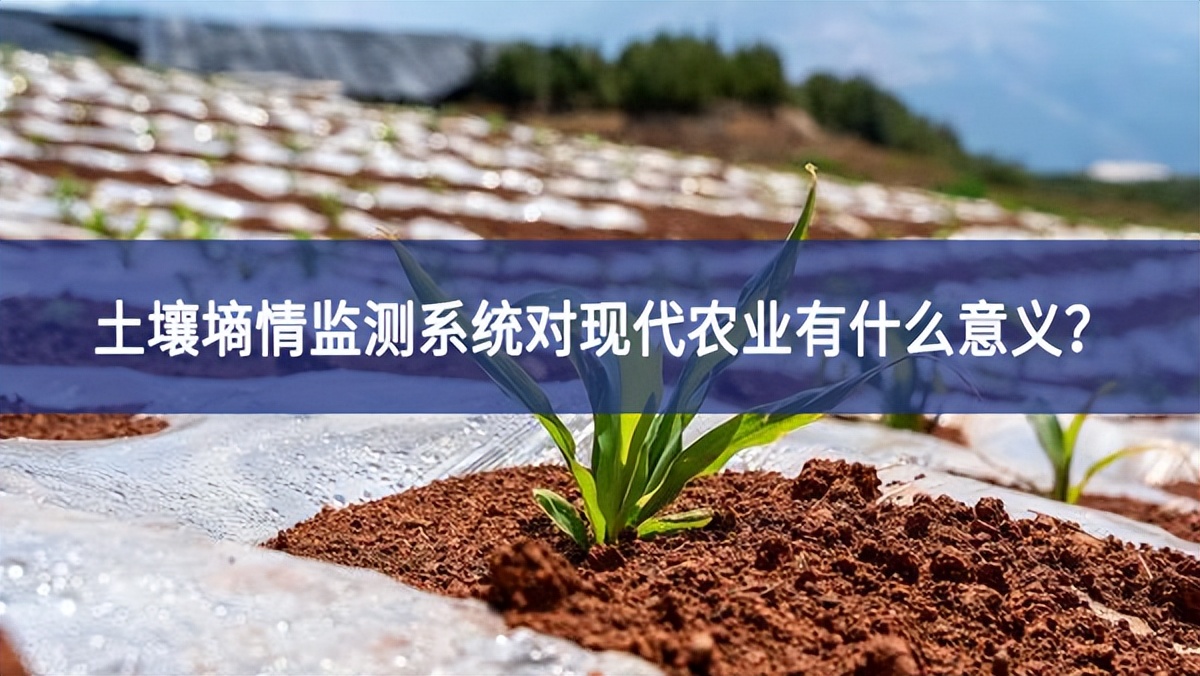 土壤墑情監(jiān)測系統(tǒng)對現(xiàn)代農(nóng)業(yè)有什么意義？