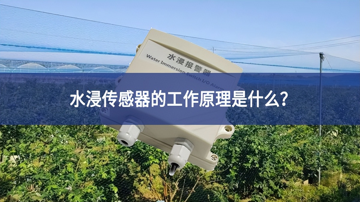 水浸傳感器的工作原理是什么? 水浸傳感器的工作原理是什么?