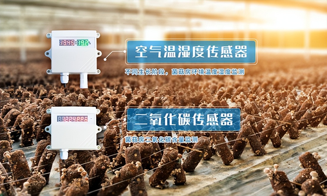 菌菇房智能控制系統