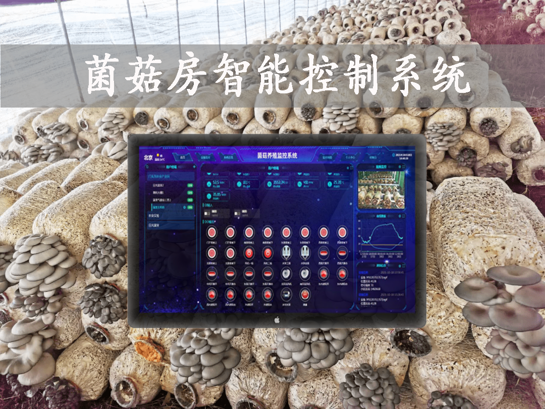 菌菇房智能控制系統