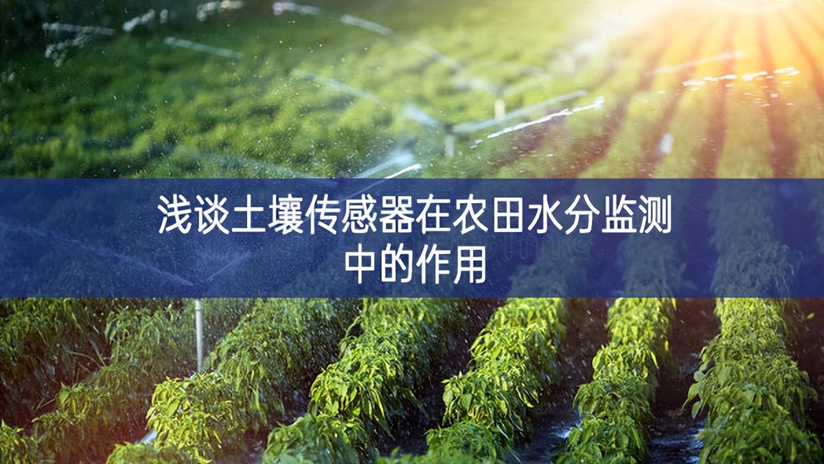 淺談土壤傳感器在農田水分監測中的作用
