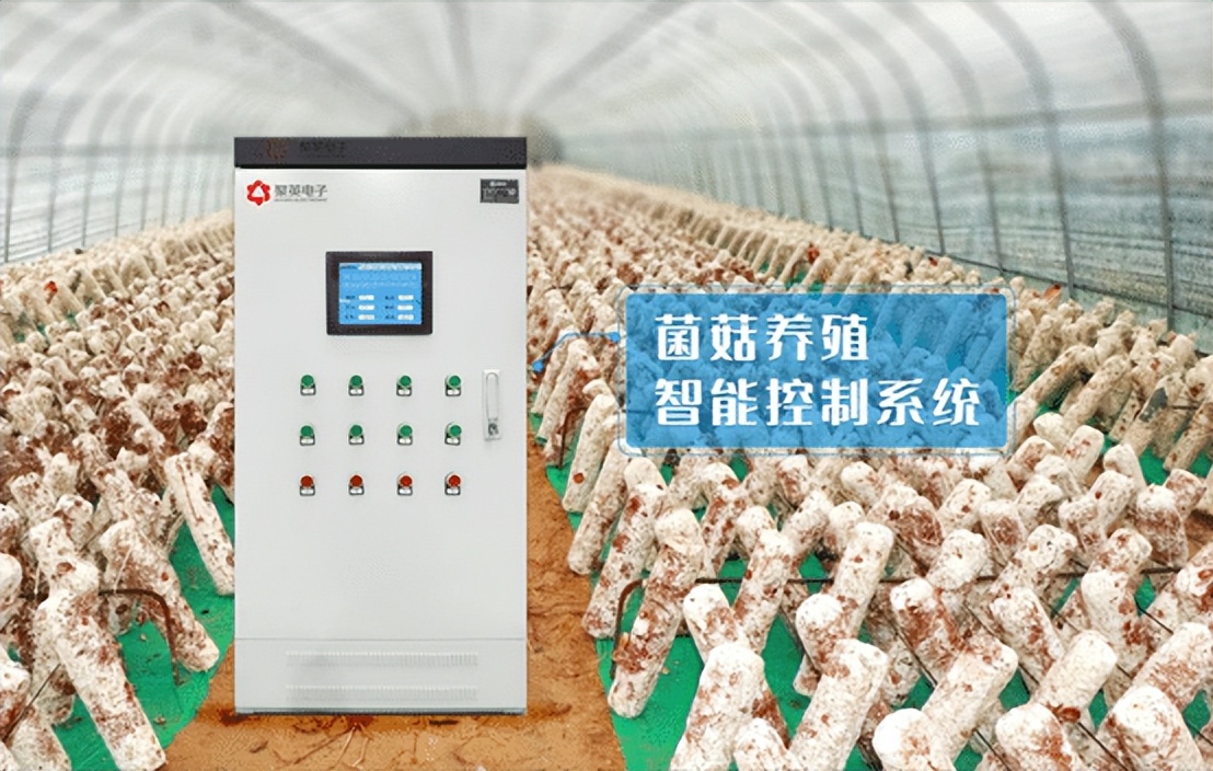 菌菇養殖智能控制系統 菌菇養殖智能控制系統