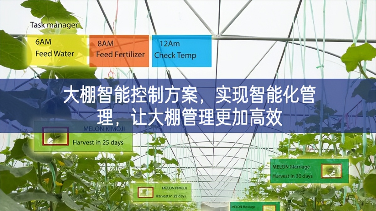 大棚智能控制方案，實現智能化管理，讓大棚管理更加高效