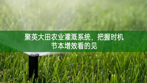 聚英大田農(nóng)業(yè)灌溉系統(tǒng)，把握時(shí)機(jī)節(jié)本增效看的見