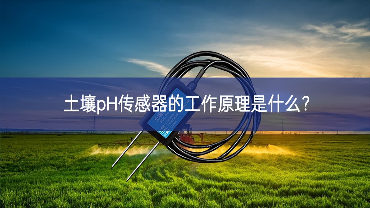 土壤pH傳感器的工作原理是什么? 土壤pH傳感器的工作原理是什么?