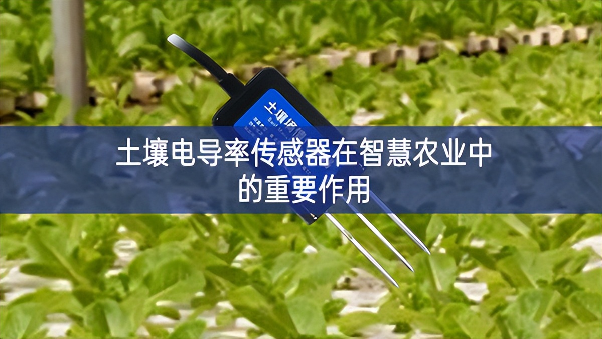 土壤電導率傳感器在智慧農業中的重要作用