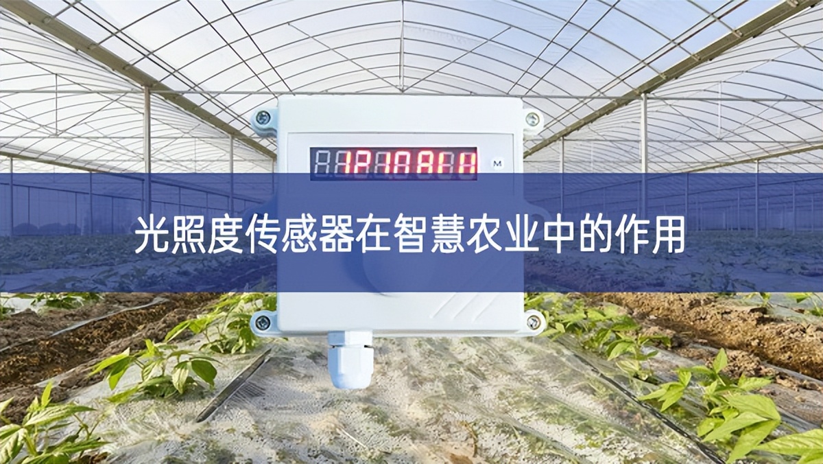 光照度傳感器在智慧農業中的作用 光照度傳感器在智慧農業中的作用