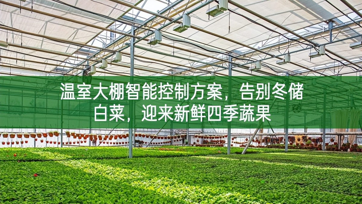溫室大棚智能控制方案,告別冬儲(chǔ)白菜,迎來(lái)新鮮四季蔬果 溫室大棚智能控制方案,告別冬儲(chǔ)白菜,迎來(lái)新鮮四季蔬果