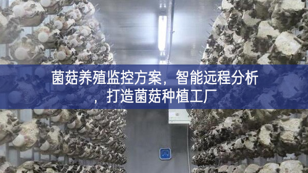 菌菇養殖監控方案，智能遠程分析，打造菌菇種植工廠