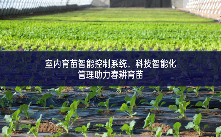 室內育苗智能控制系統,科技智能化管理助力春耕育苗 室內育苗智能控制系統,科技智能化管理助力春耕育苗