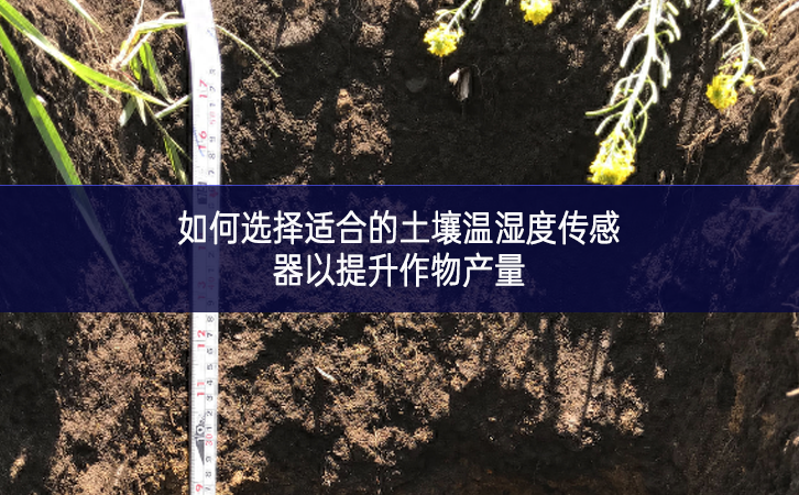 如何選擇適合的土壤溫濕度傳感器以提升作物產量 如何選擇適合的土壤溫濕度傳感器以提升作物產量