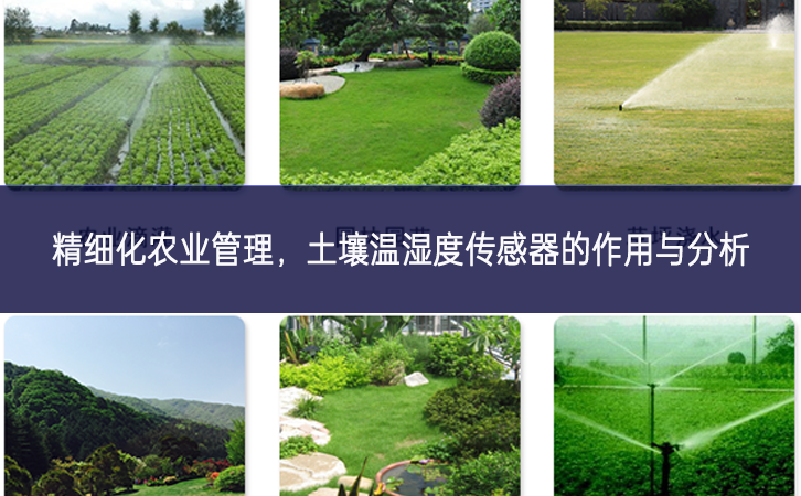 精細化農業管理，土壤溫濕度傳感器的作用與分析