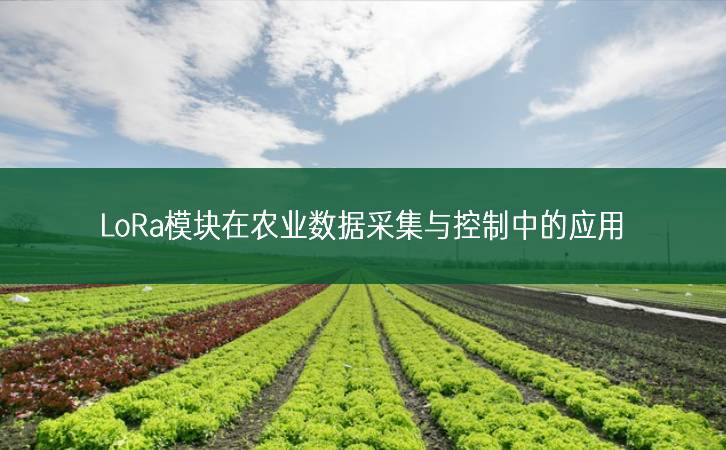 LoRa模塊在農(nóng)業(yè)數(shù)據(jù)采集與控制中的應(yīng)用 LoRa模塊在農(nóng)業(yè)數(shù)據(jù)采集與控制中的應(yīng)用