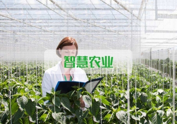 春雷一聲 驚蟄到，聚英智慧農業系統助力農業春耕