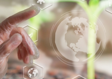 提高員工生產力，減少人力勞動的物聯網解決方案