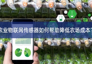 農業物聯網傳感器如何幫助降低農場成本？