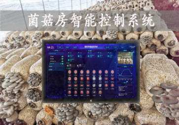 「智慧養(yǎng)殖」菌菇房智能控制系統(tǒng)，智能控溫，助力大棚食用菌種植