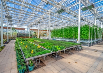 「智慧農業」農業領域也迎來了智能化革命，智慧溫室控制系統應用