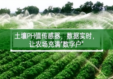 土壤PH值傳感器，數據實時，讓農場充滿"數字戶"