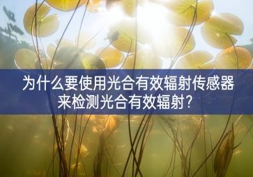 為什么要使用光合有效輻射傳感器來檢測(cè)光合有效輻射？