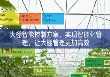 「智慧農(nóng)業(yè)」大棚智能控制方案,實(shí)現(xiàn)智能化管理，讓大棚管理更加高效 