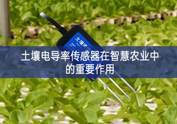 土壤電導率傳感器在智慧農業中的重要作用