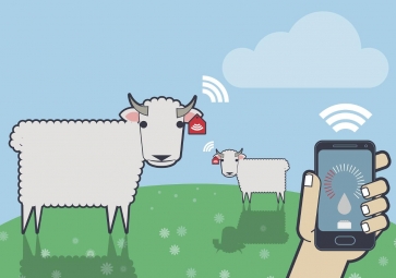 人工智能提高農業效率和降低成本的三種方式