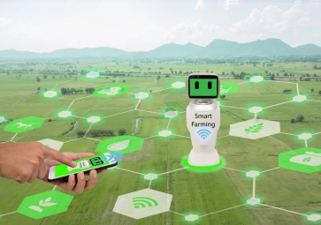 人工智能和傳感器技術如何提高農業生產力