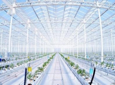 智能農業自控系統