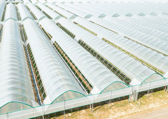 薄膜連棟溫室大棚監(jiān)控系統(tǒng) 薄膜連棟溫室大棚監(jiān)控系統(tǒng)