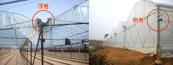 薄膜連棟溫室大棚監(jiān)控系統(tǒng) 薄膜連棟溫室大棚監(jiān)控系統(tǒng)