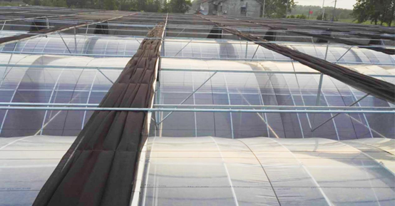 薄膜連棟溫室大棚監(jiān)控系統(tǒng) 薄膜連棟溫室大棚監(jiān)控系統(tǒng)